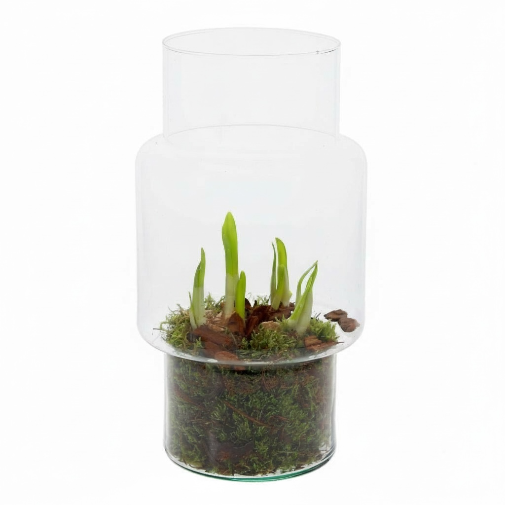 Terrarium sara met narcis