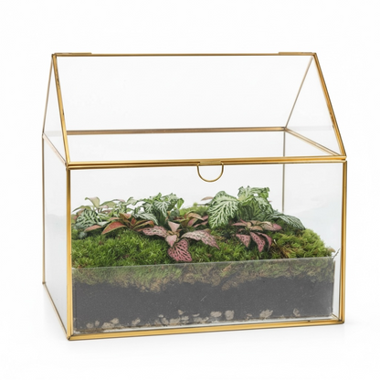 Semi Terrarium de goudekas
