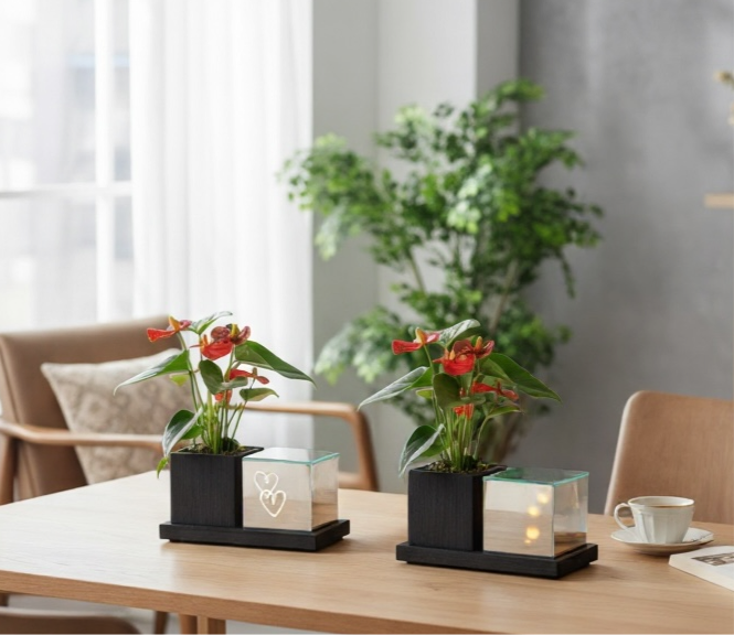 Vlam of hart led planter met Anturium