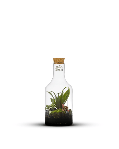 Bottle Jungle - The Green Bottle Garden