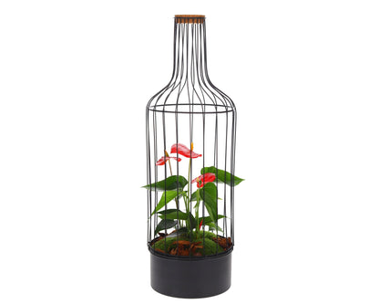 Bottle Metaal Anthurium - The Green Bottle Garden