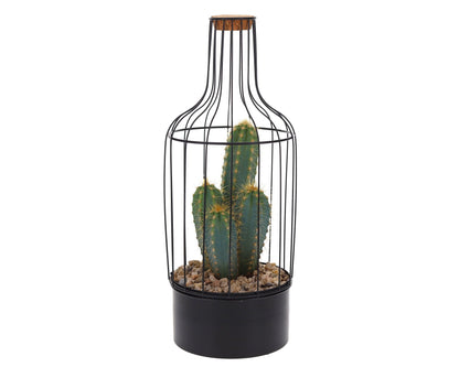 Bottle Metaal Cactus - The Green Bottle Garden