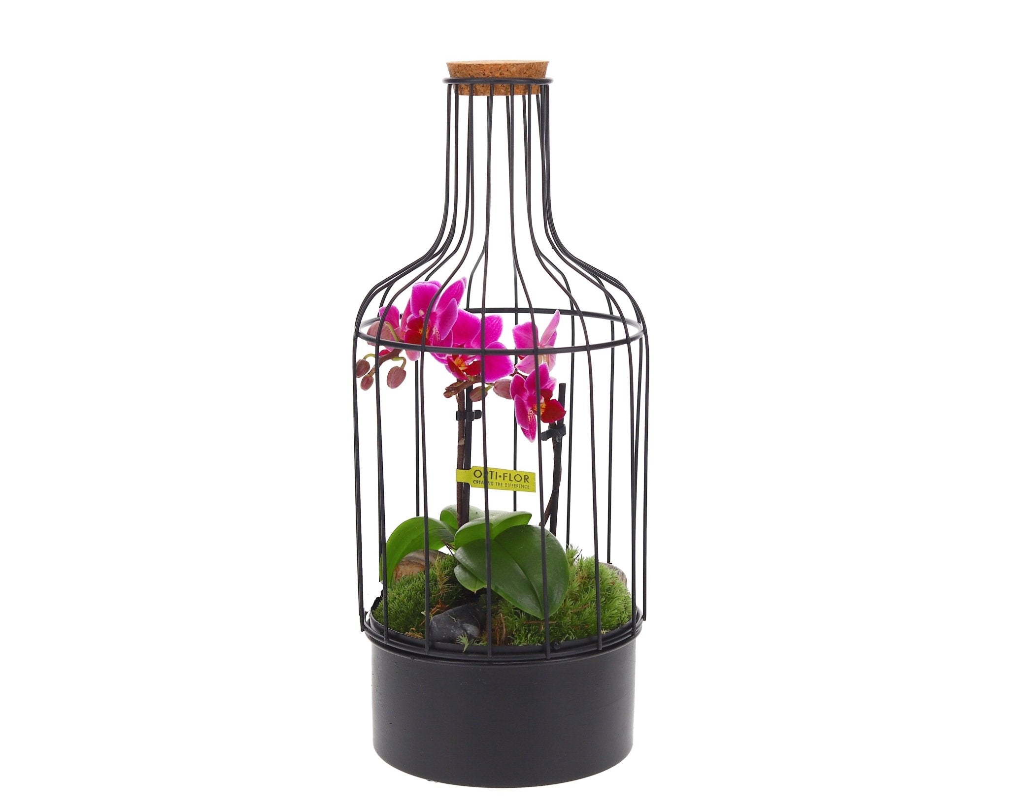 Bottle metaal Orchidee - The Green Bottle Garden