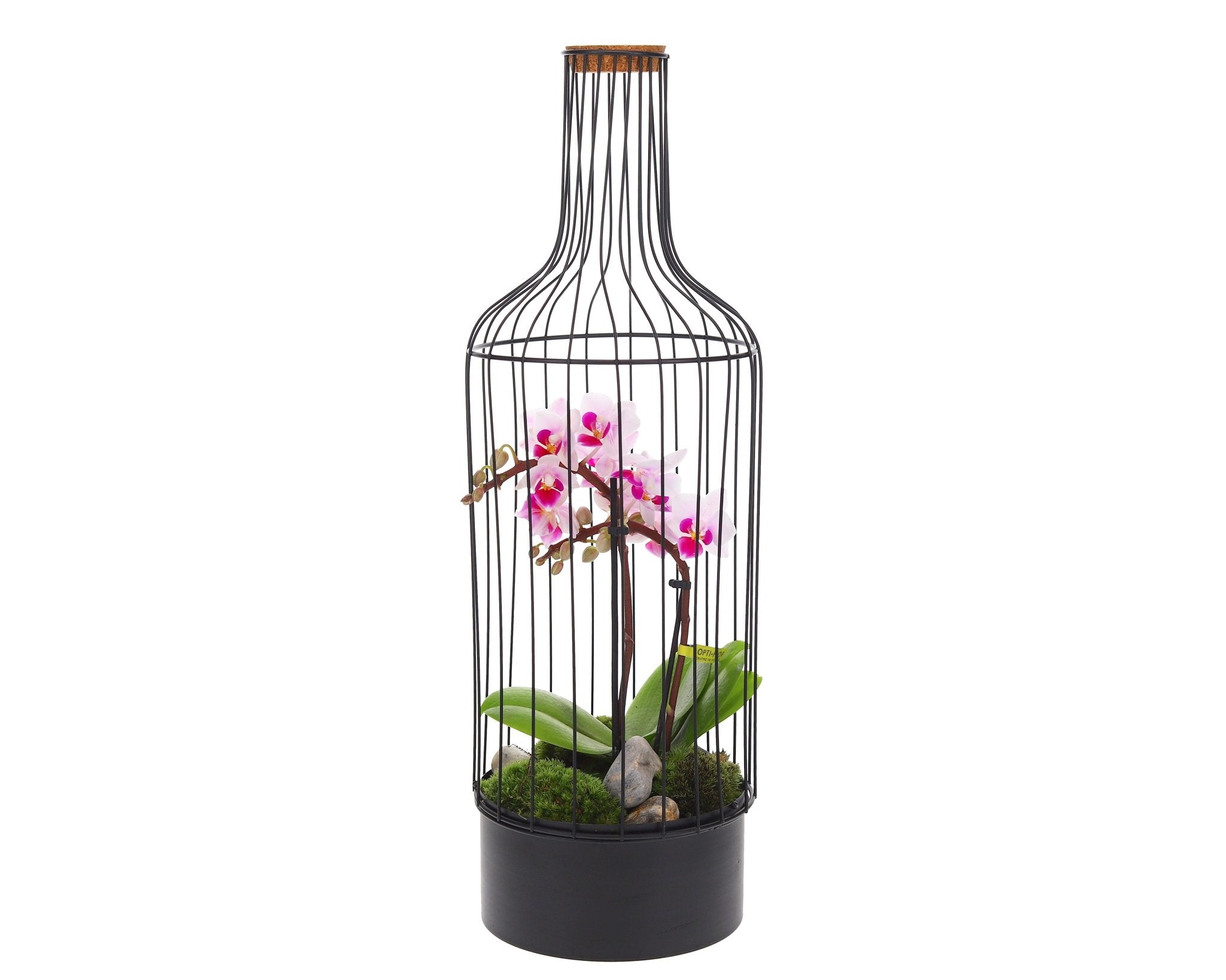 Bottle metaal Orchidee - The Green Bottle Garden