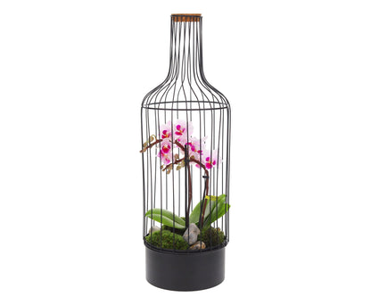 Bottle metaal Orchidee - The Green Bottle Garden