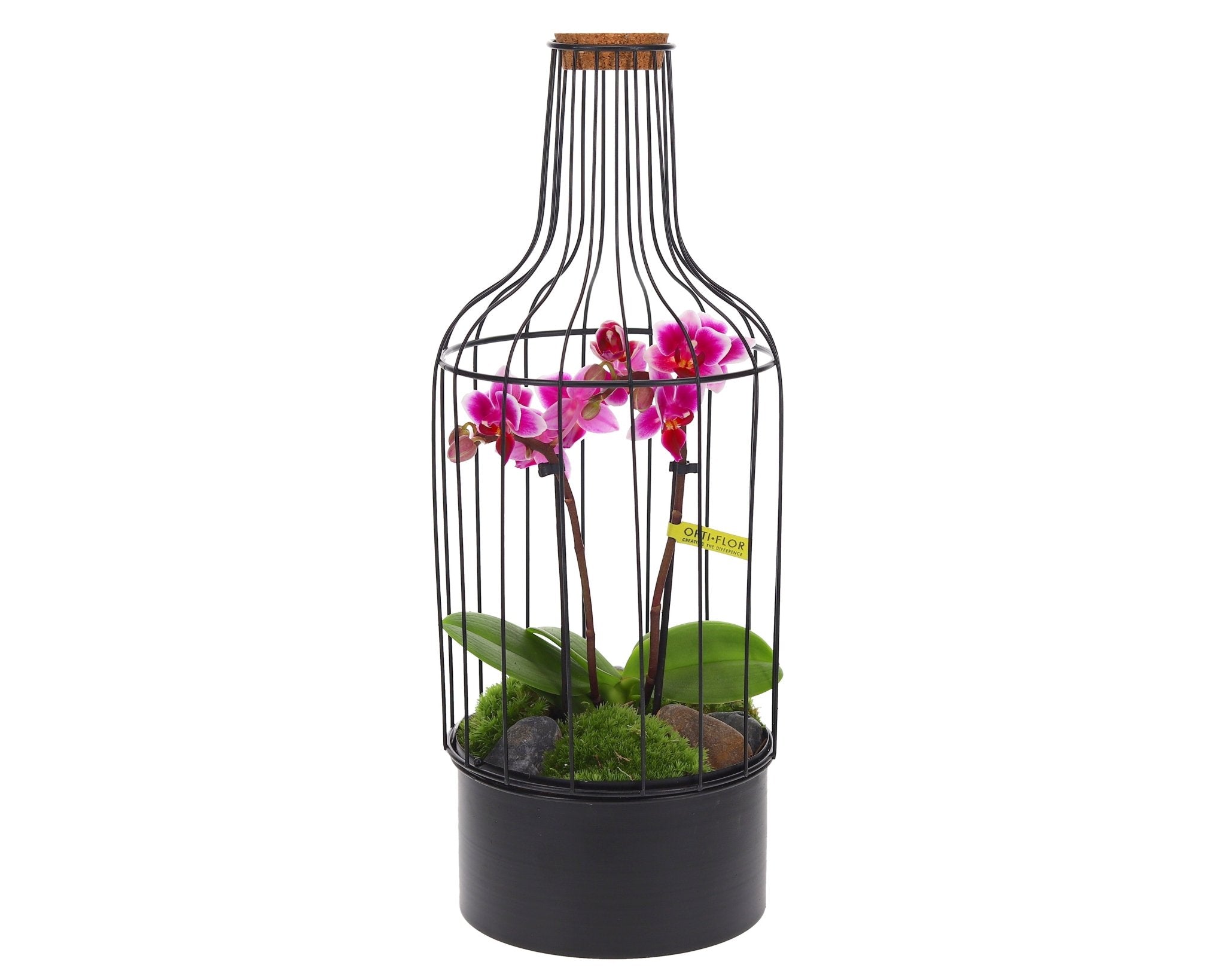 Bottle metaal Orchidee - The Green Bottle Garden