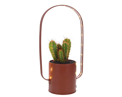 Cactus Lighting zink - The Green Bottle Garden