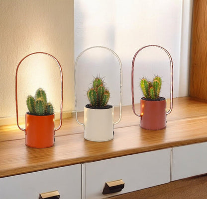 Cactus Lighting zink - The Green Bottle Garden