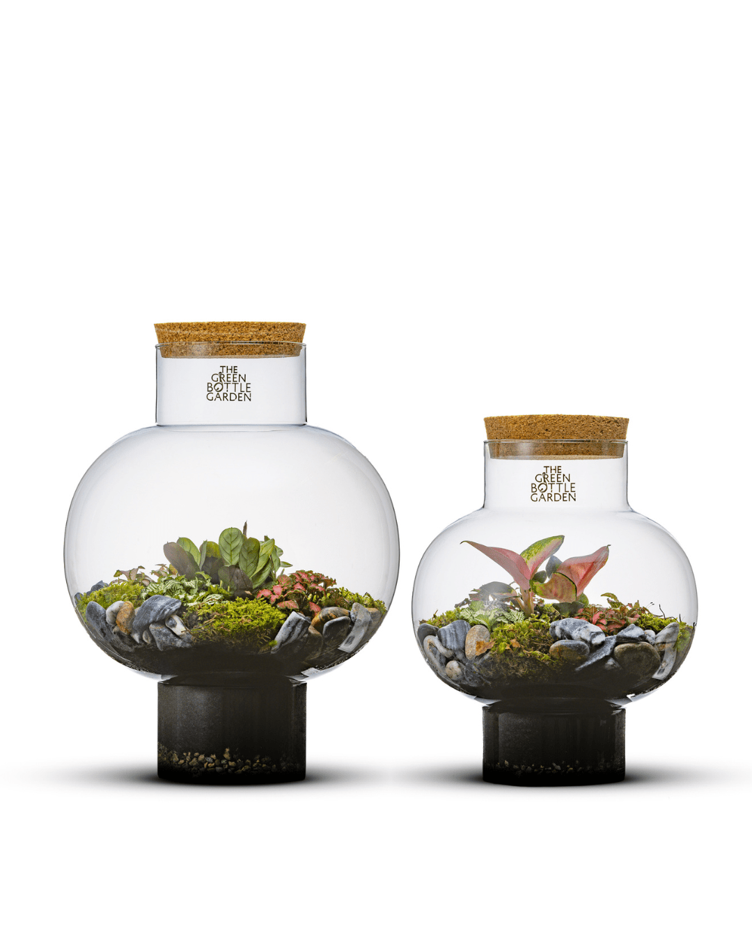 Ecosysteem Laura - geslotent terrarium