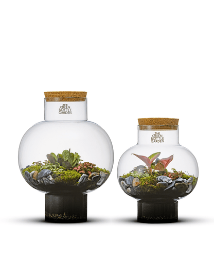 Ecosysteem Laura - geslotent terrarium