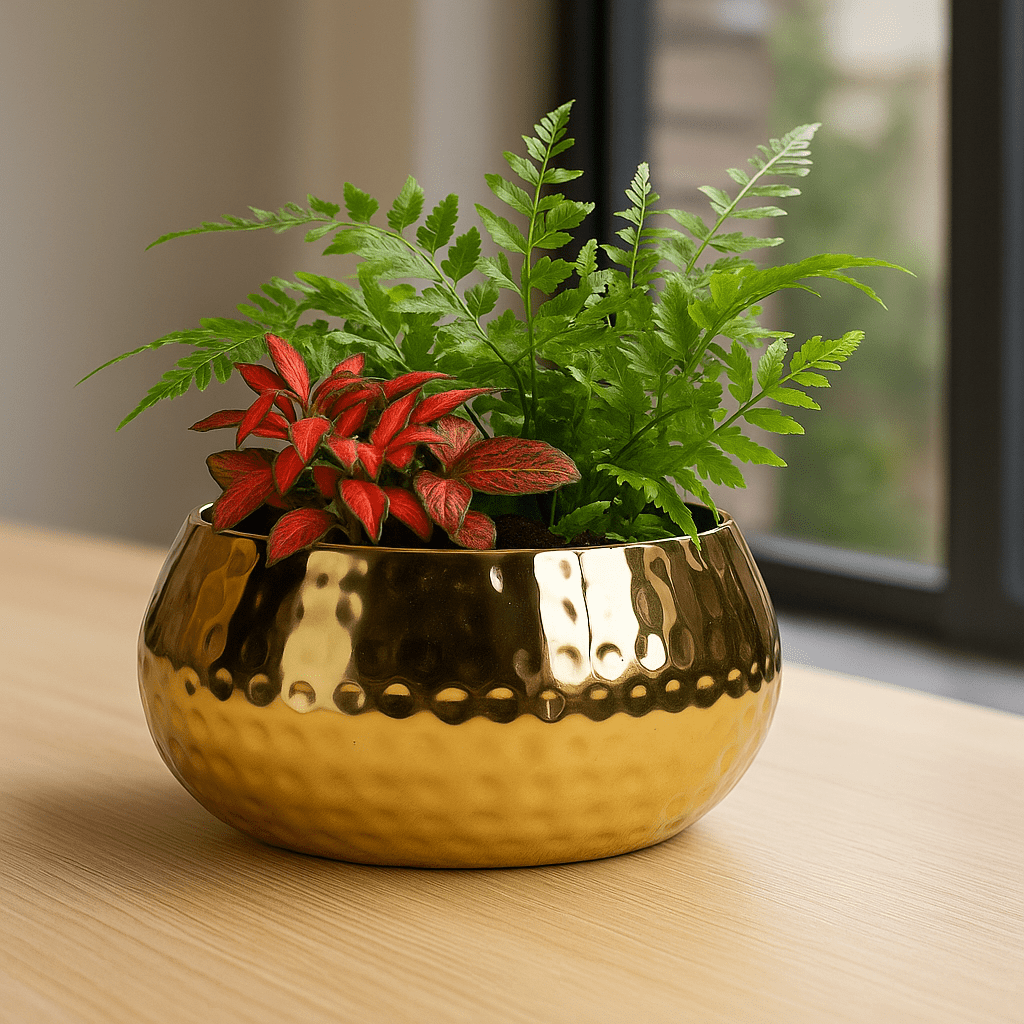 Golden Jungle – Athyrium & Fittonia - The Green Bottle Garden