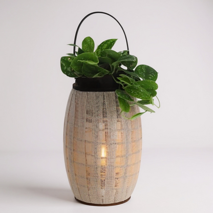 plant met Lamp lantaarn