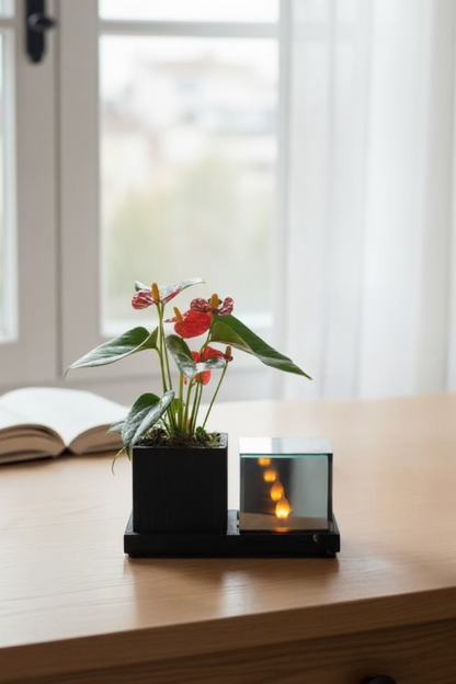 planter anthurium met vlam led verlichting