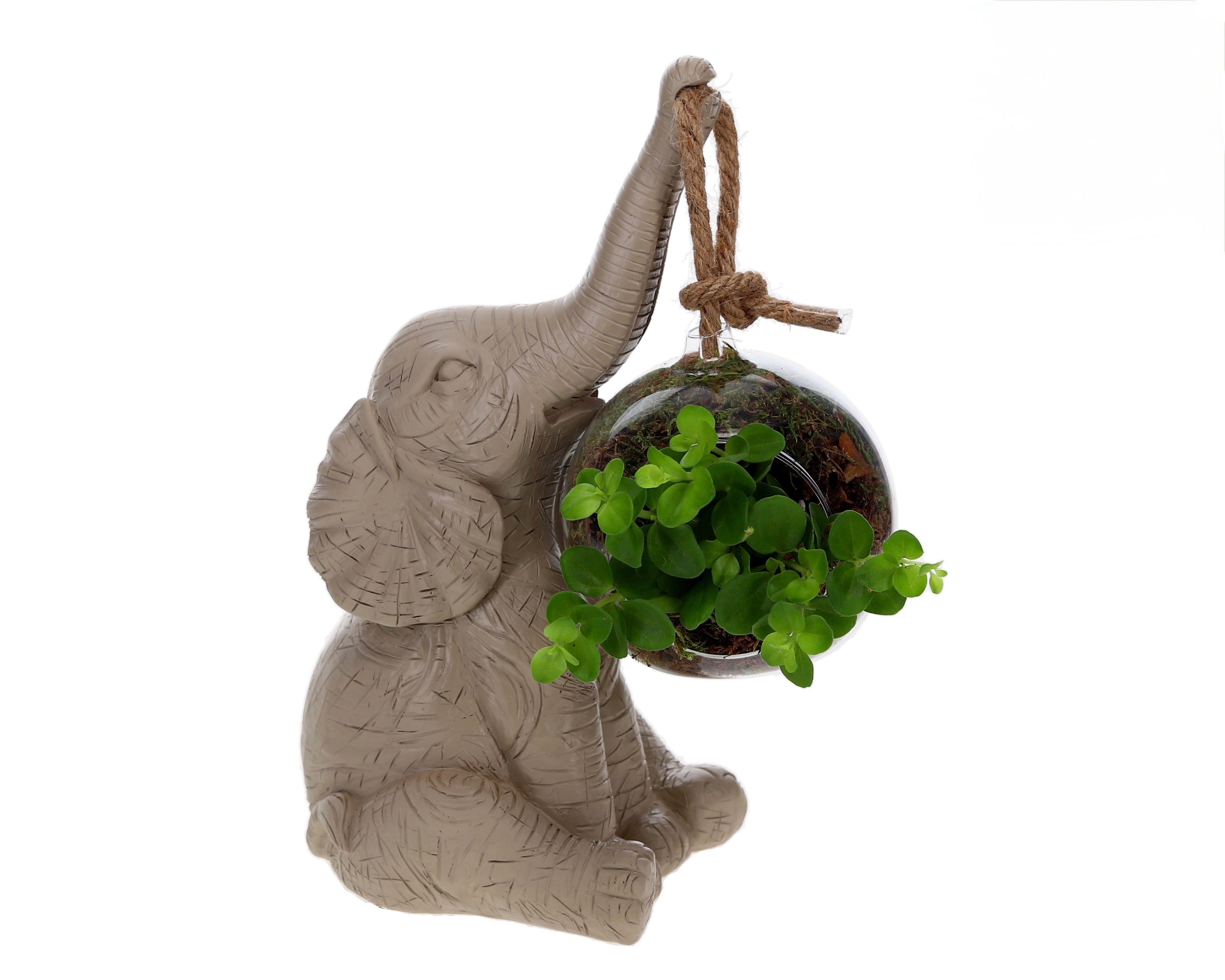 sfeer beeld olifant plant