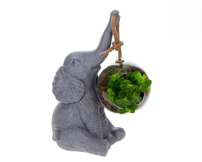 sfeer beeld olifant  grijs