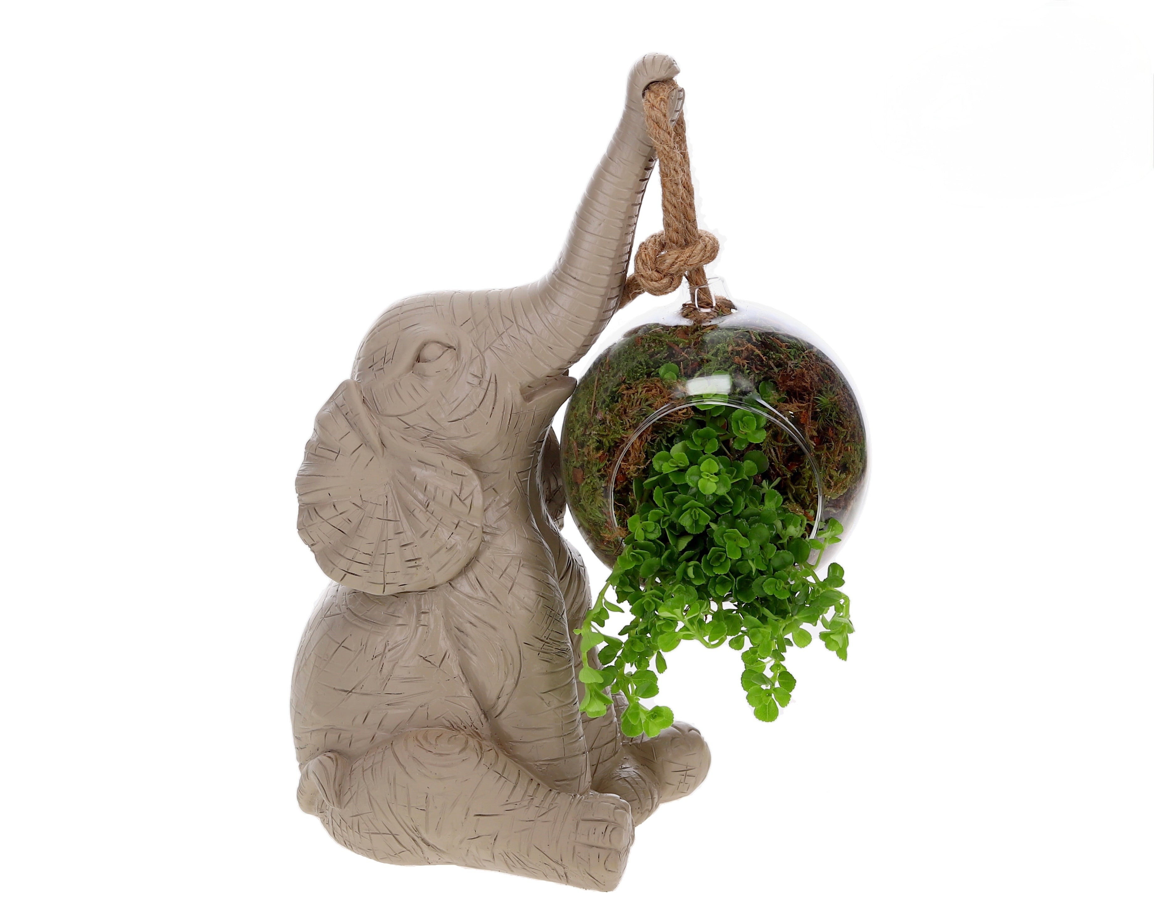 sfeer beeld olifant pilea beige