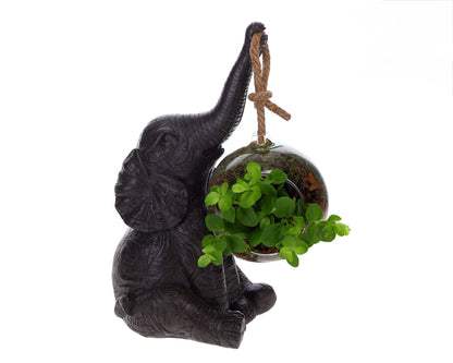 sfeer beeld olifant zwart