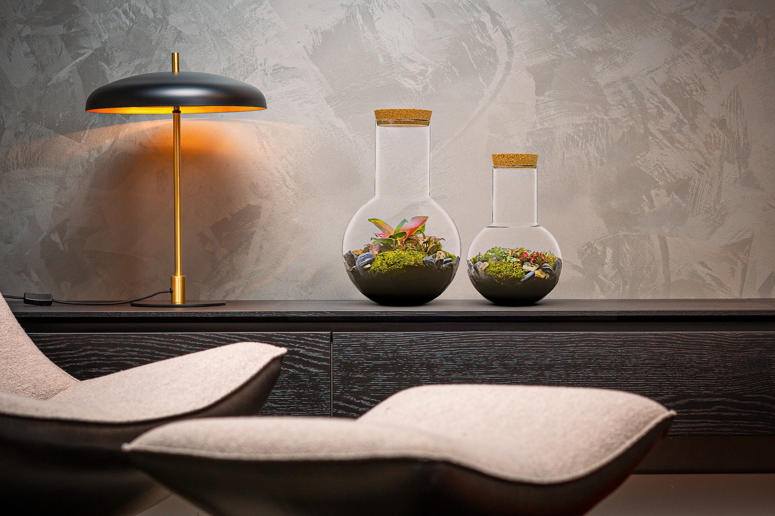 suzanne Ecosysteem een gesloten terrarium