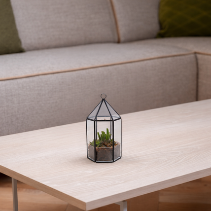 Geometrisch terrarium met vetplanten